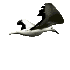 cahier de statistique  bird1.gif